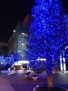 20131206-_______5