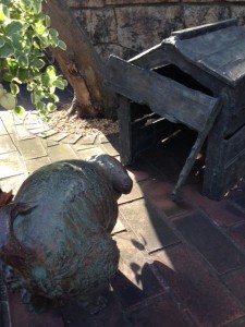 写真(3)