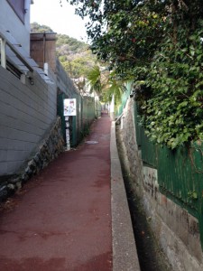 写真(1)