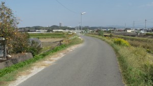 DCF00106.JPG