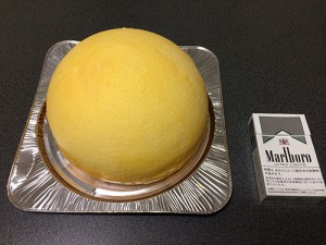 blog_shn_003