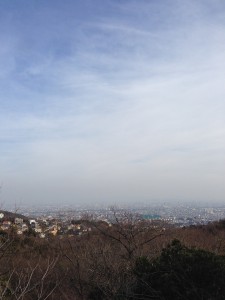 IMG_1529