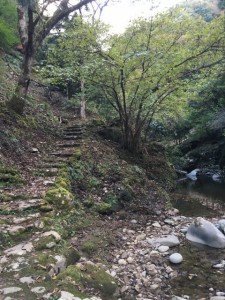 s_IMG_1788