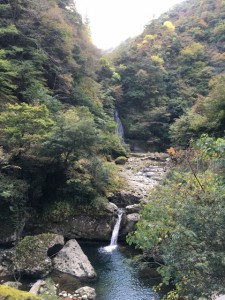 s_IMG_1794
