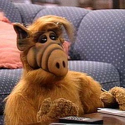 alf (1)