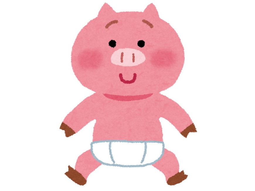 baby_pig_1