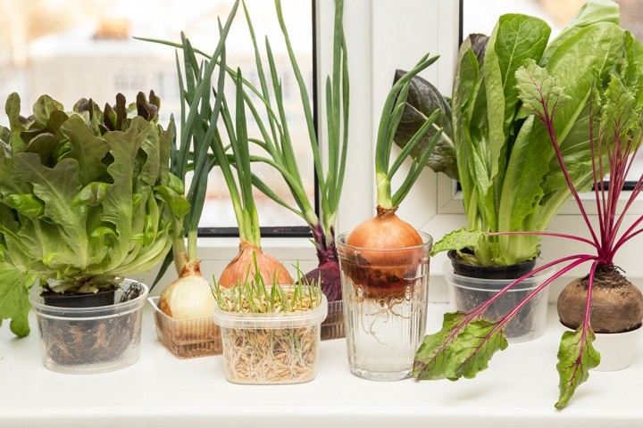 hydroponics_06-min