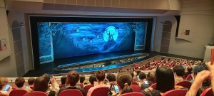 IMG_20250626_105651