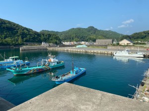 IMG_8479