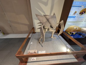 PXL_20251012_061526510